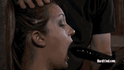 itamefemales:  The training gag. Keeping her silent, while teaching her to suck. 