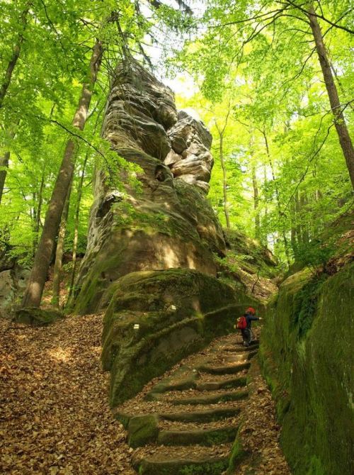 Drábské světničky / Czech Republic (by Pavel Zalesky).  