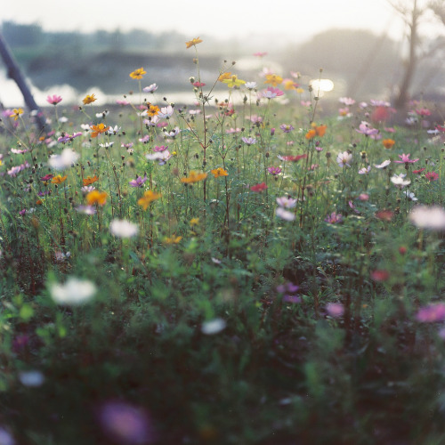 sitoutside:   5:00   by  yaoyingda  