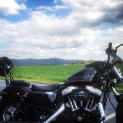 Got in some 2 wheeled therapy today. #bikelife #motorcycle #harley #harleydavidson #beautifulday #blackonblackonblack #48