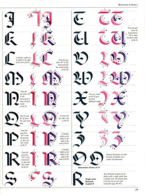 The Art Of Calligraphy
