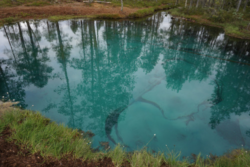 Grodkällan, artesian cold spring in Arvidsjaur by Mad Elg