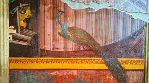 giuseppeciaramella:#oplontis #villadipoppea #roman #architecture #archeology #fresco #trompeloeil #p