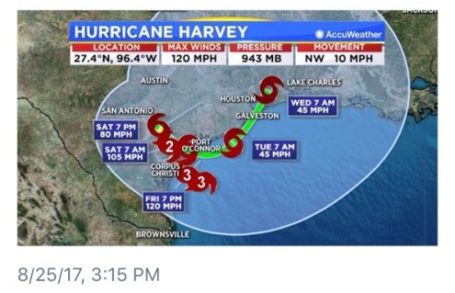 gvthams: spookoofins: rodham: HURRICANE HARVEY IS NOW A CATEGORY THREE HURRICANE. fellow texans: thi