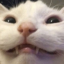 gretavanbri