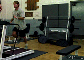 quadguyin-china:  gina145:  operation-hourglass:  ampersandlift:  It’s like the universe is saying, “Hey man, less cardio, more weights”  Re-blogging because that comment is so perfect!  He kinda looks like Stifler from American Pie. Lolll  that’s
