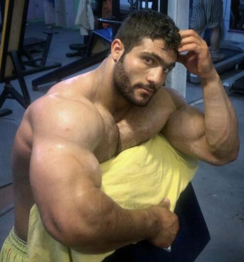 hyper-masculine:    ► HYPER-MASCULINE ♂ ◄ [page]♂ ♂♦ Hyper-Masculine ARCHIVE ♦ [all pics]    
