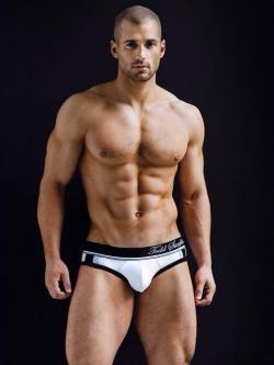 nicemale:  Todd Sanfield