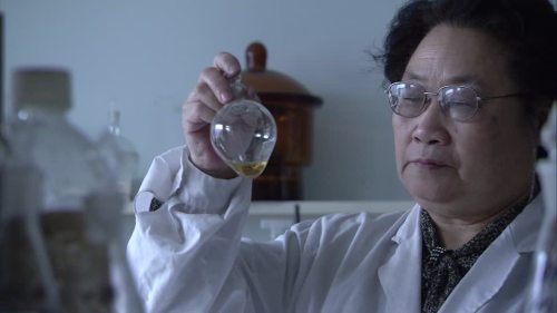 rejectedprincesses:Tu Youyou (1930 - ): Malaria’s NemesisIn the 60s and 70s, China found itself in a