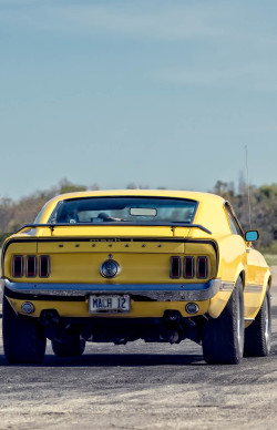 h-o-t-cars:    Ford Mustang Mach 1 by City