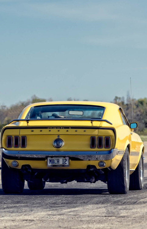 h-o-t-cars:    Ford Mustang Mach 1 by City Street Photos   