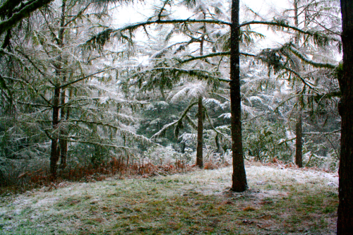 quiet-nymph:Pacific Northwest photography by Michelle N.W.☼Print Shop☼ ☼Blog☼☼ Please do not remove 