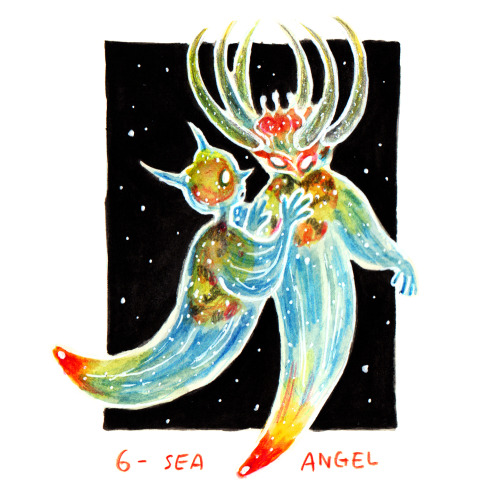 Sea Angels are wonderful creatures: slugs that leave behind their mundane shells and grow wings inst