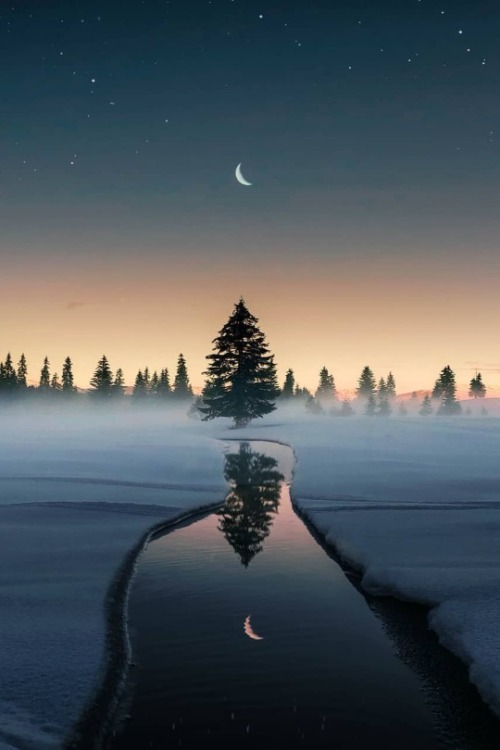 maureen2musings:    Lonely nights, I talked to the moon and she listened quietly     ronnaldong   