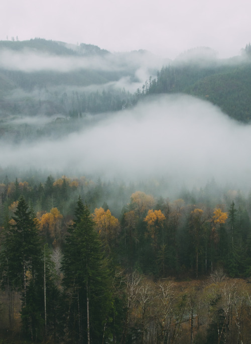 PNW Autumn