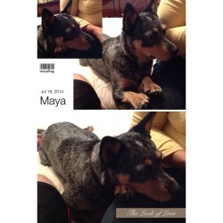 #InstaMagApp @fotorus_official Maya, The