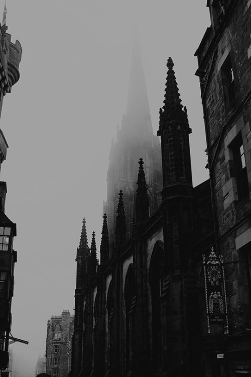 raised-from-the-grave:Photography by: Linnea SandbakkFound at: Unsplash.comOriginal photo: here