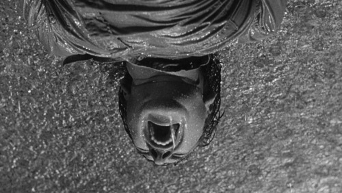 julydogs: Shock Corridor (1963) Samuel Fuller