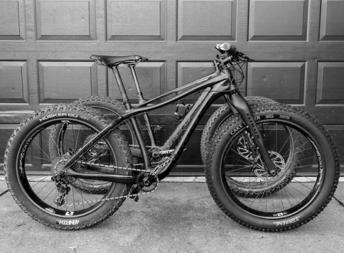 fatbikedotcom: Fatback Corvus FLT & Specialized Fatboy Expert. #fatbikedotcom #fatbike @fatbackb