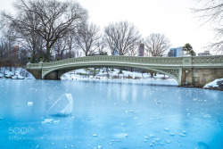 socialfoto:New York Central Park by AndrewDoyle #SocialFoto