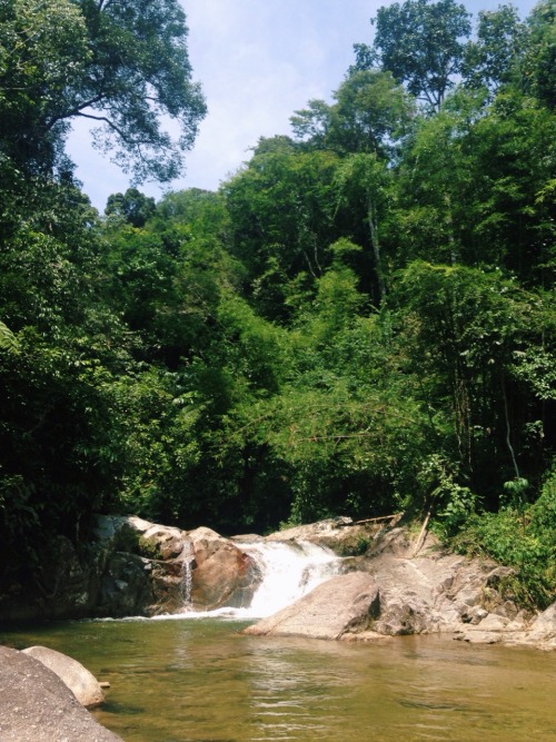 jmaryibanez: June, 2015Pretty pretty. We crossed this pretty fall.