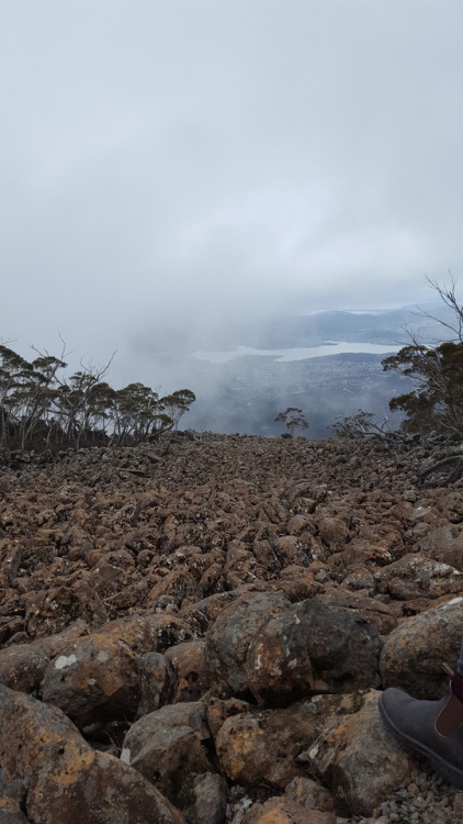 Dolerite boulder field- Kunanyi/Mt. Wellington, Hobart Tasmania-Dolerite is a term for basaltic igne