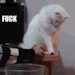 googleme420: