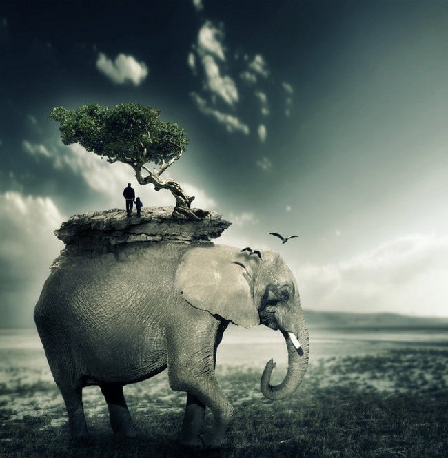 leslieseuffert:  Matteo Pontonutt (UK) - Photo Manipulations 