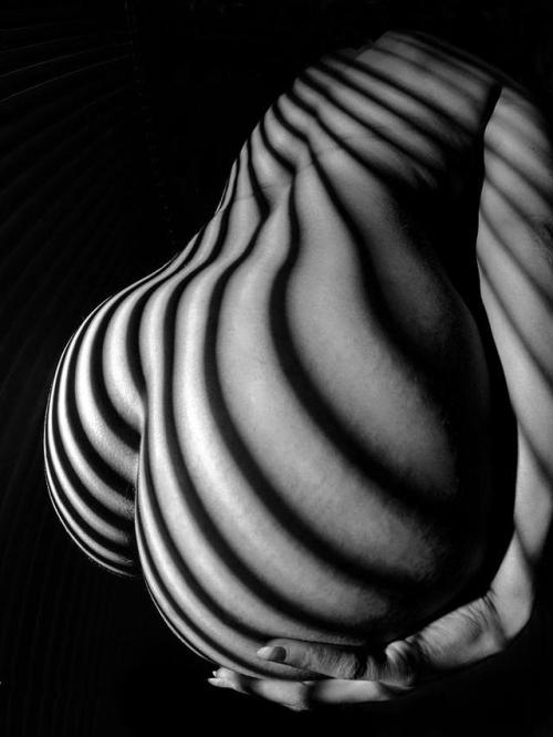 6777 Black White Nude Womans Curves Striped With Sunlight by Chris Maher, 2012