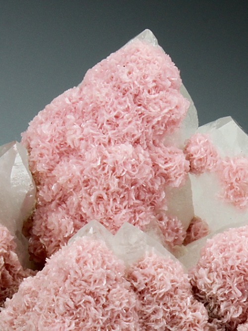 Rhodochrosite rosettes on Quartz - Romania