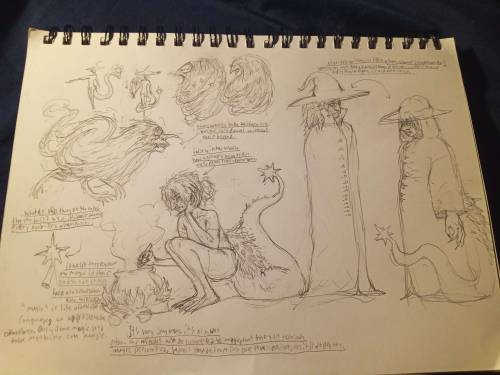 This Is The False Witch Or Star-end Witch, This Particular One In The First Picture Looking Angry Goes