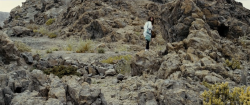 hazyfriend:  hadco:  Crystal Fairy &amp; the Magical Cactus and 2012 | Sebastián Silva  Absolutely love this movie. &amp; I definitely want to grow a San Pedro cactus.