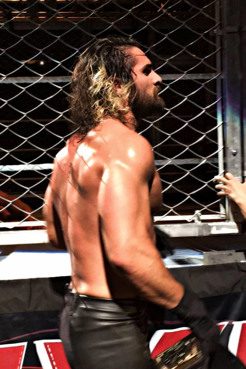 sethrollinsitalia-deactivated20: ©