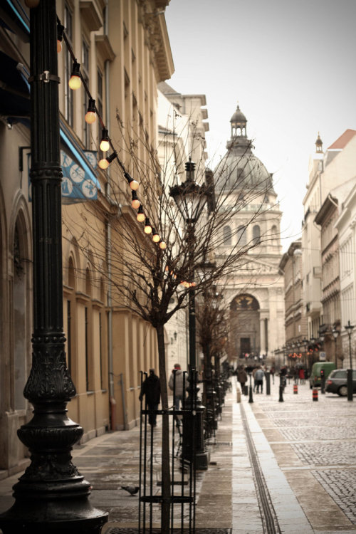 telescoptics:Street in Budapest by ~navamalika