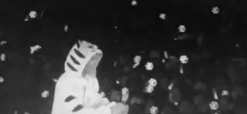 fychanxiu:tiger!chanyeol vs cat!minseok