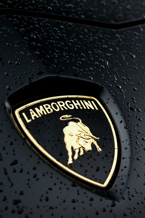 Porn photo bejarj:  Aventador LP700-4 emblem | Source