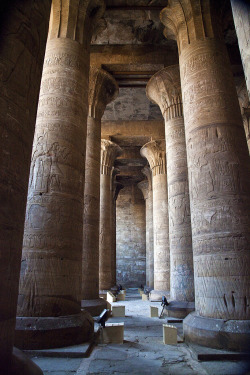 visitheworld:   	Edfu Temple columns / Egypt (by Stephan Alberola). 