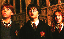   harry potter meme: three movies → chamber of secrets (2/7)  