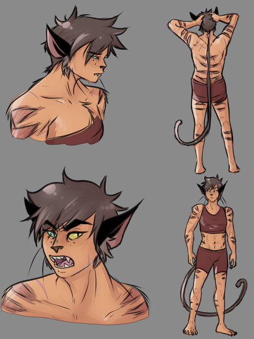 jen-iii:  Some Catra headcanon doodles for how I imagine how she looks because she’s fun to draw :3