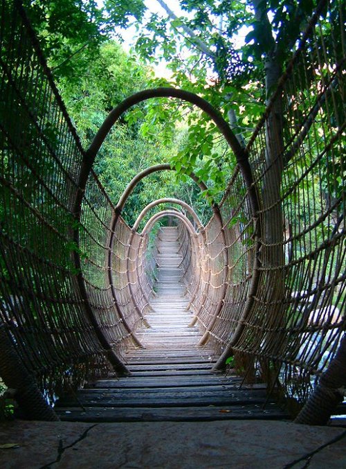 The Spider Bridge in Sun City Resort, South Africa (by henrye).