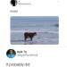 sundermunder: