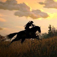 beyondjodie:  Red Dead Redemption: Silhouettes adult photos