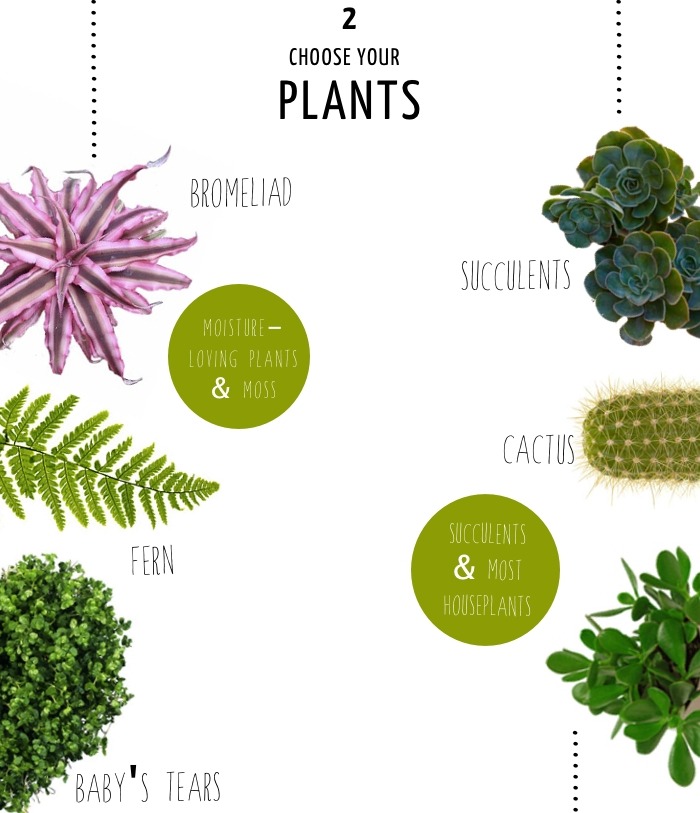 allotment86:  How to make a Terrarium in 4 steps … The size of your container will