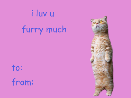 lumin4nce: someone needs to stop me valentines that will make ppl (or cats) like you (part 6/???) di