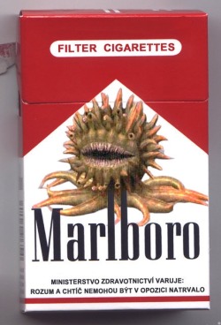 plasmalogical:only smokes these