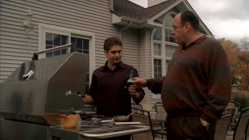 Is that supposed to be a major departure from the asstaste of regular beer?~ The Sopranos S06E17 “Wa