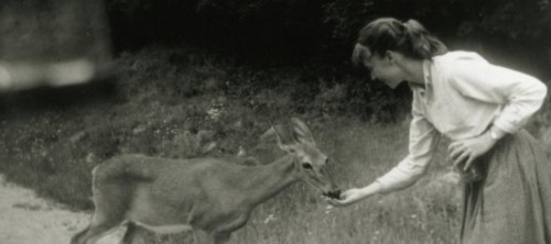 Call Me Sylvia Plath Cause The Floor Seemed Wonderfully Solid.It Was Comforting To Know I Had Fallen