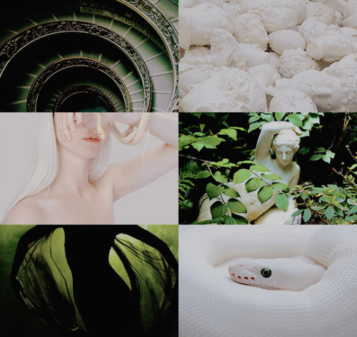 jedi-anakin: aesthetic meme ▷ [1/3] myths“Flee, for if your eyes are petrified in amazement, she wil