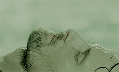 lotrlorien:middle-earth meme   [5/7 men]   ➳  aragorn