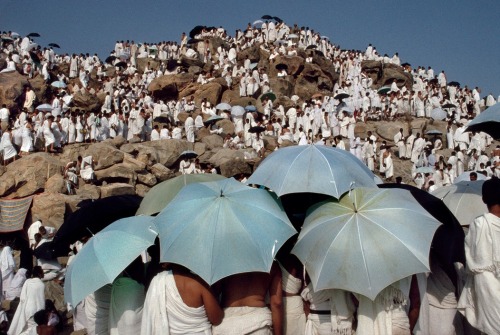 ouilavie:A.Abbas. Saudi Arabia. 1991. On the 10th day of the month of Hajj, pilgrims move to Arafat,